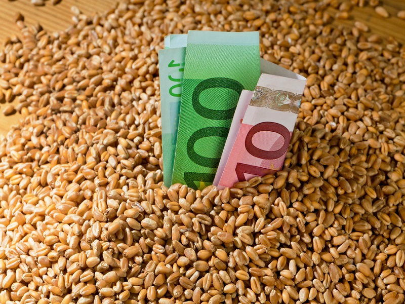 subvenciones y bonificaciones para empresas